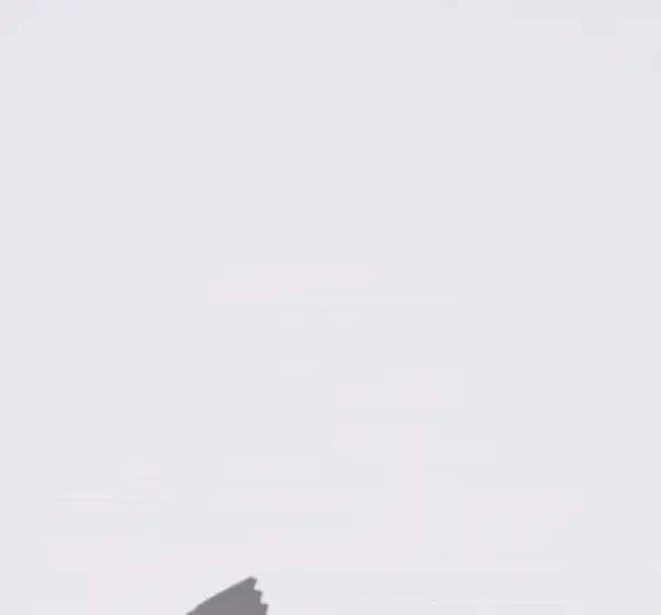 NEW: Matcha Energy Bar – Organic, High Fiber, Whole-Food (Dr. Weil Formulated) - Image 3